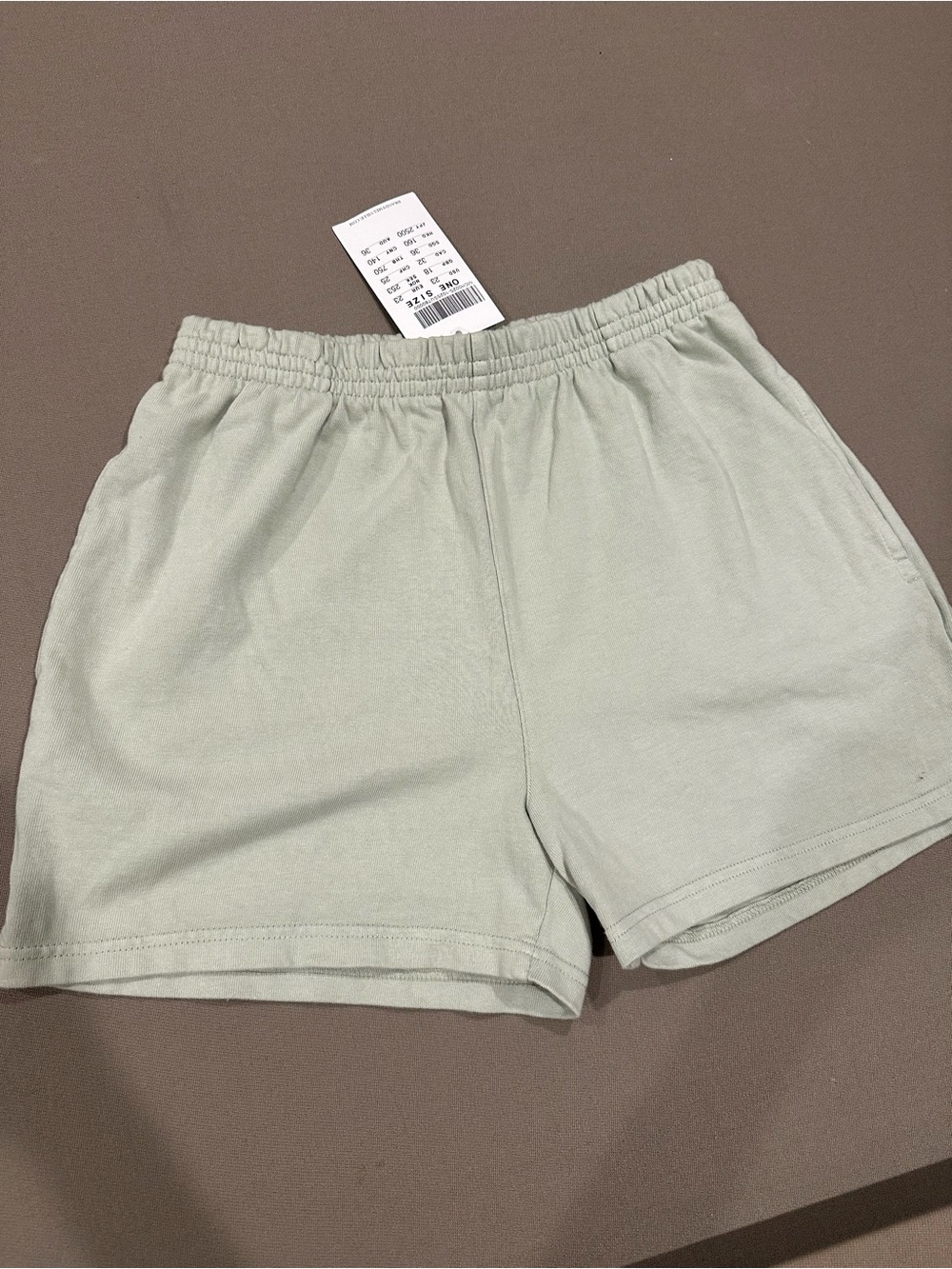 Brandy Melville sage green sweatshorts